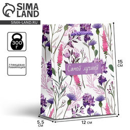 Цена за 2 шт. Пакет подарочный ламинированный, упаковка, «Самой лучшей», S 12 х 15 х 5.5 см