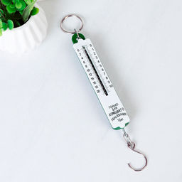 Весы безмен 10 кг арт. YD-10 (742435)