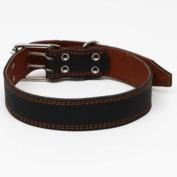Ошейник кожаный двухслойный, 85 х 4.5 см, ОШ 50-70 см, чёрный