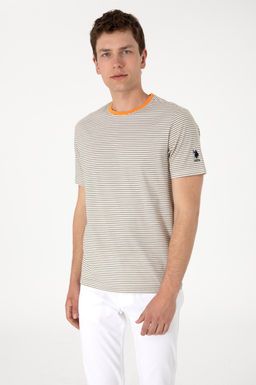 Erkek Regular Fit Bisiklet Yaka Haki _izgili Ti__rt Sepette S_rpriz _ndirim - U.s. polo assn фото 3