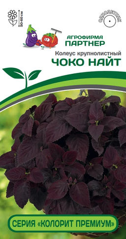 3314P Колеус "КОЛОРИТ ПРЕМИУМ" ЧОКО НАЙТ 5шт