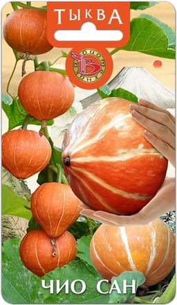 Тыква Чио Сан
