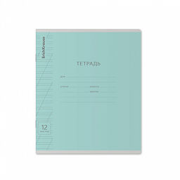 Цена за 280 шт. Тетрадь школьная ученическая ErichKrause Классика Visio ассорти, 12 листов, частая косая линейка (в плёнке по 10 шт.) фото 39