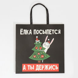 Пакет подарочный А ты держись, 22 22 11 см - Дарите счастье фото 5