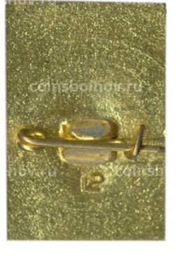 Значок Петродворец