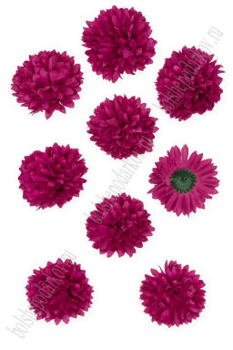 Головки цветов "Хризантема" 7 см (10 шт) SF-7874, фукси