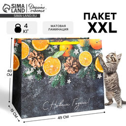 Пакет ламинированный горизонтальный Мандарины, XL 49 40 19 см - Дарите счастье фото 5