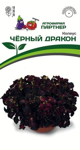 3315P Колеус ЧЁРНЫЙ ДРАКОН 10шт