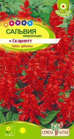 Сальвия Скарлетт сверкающая 0,1г (Семена Алтая)