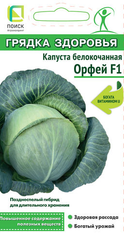 Капуста белокочанная Орфей F1 (сер.Грядка здоровья) (А) (ЦВ) 0,2гр - Поиск фото 2