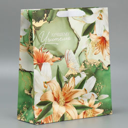 Цена за 2 шт. Пакет подарочный ламинированный, упаковка, «Лучшему учителю», M 30×26×9 см