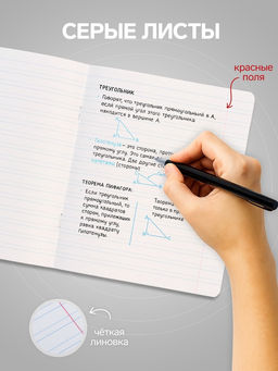 Цена за 20 шт. Тетрадь 12 листов в узкую линию, Calligrata «Однотонная Классика. Эконом», МИКС