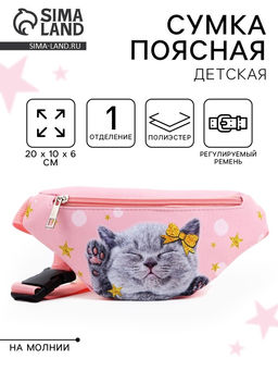 Сумка поясная детская Миленький котик, 20?10?6 см