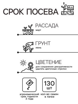 Цена за 2 шт. Семена комнатных цветов Колеус "Блюма Радуга", 130 шт.