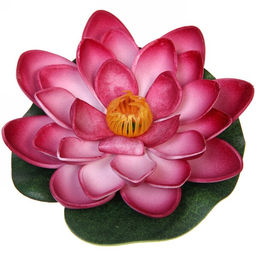 Цена за 5 шт. Растение водоплавающее "Кувшинка большая" d-10см бордовая