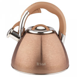 Чайник из нержавеющей стали 3л Айгрет s0,5мм, дно д22см, s0,5мм, индукционный диск д16,5см, со свистком, внешняя полировка свистка, внутренняя - матовая, пластмассовая ручка с покрытием soft-touch, цветная коробка , TalleR (Китай)