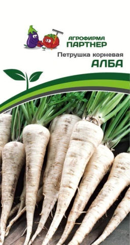 Петрушка корневая Алба