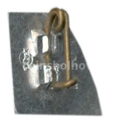 Значок Рига