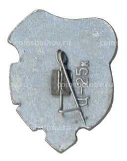 Значок Иркутск