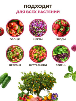 ЦИОН Детокс (для детоксикации и восстановления грунта), 700 гр