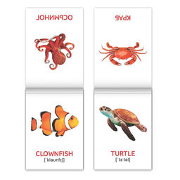 Книги набор Карточки Домана на английском языке, 8 шт. по 24 стр. - Буква-ленд фото 7