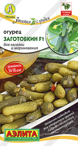 Огурец Заготовкин F1 --- Пч Закатки с грядки