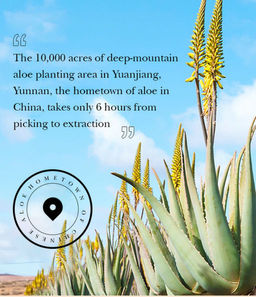 Крем - кушон с коллагеном  тон натуральный 20 гр - Bioaqua фото 7