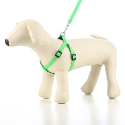 Комплект Базис, поводок 120 х 1,5 см, ОГ 32-46 см, зелёный - Пижон фото 6