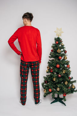 Скидка 10%! Пижама мужская (джемпер,брюки) 962 красный/зеленая клетка 1250 Be Friends  фото 3