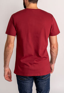 Футболка мужская короткий рукав GREG G145-RD-1061_R (бордовый)  фото 2