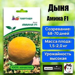 Дыня Амина - Партнер фото 5