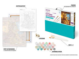 ФРЕЯ PNB/PLC-329 Набор для раскрашивания по номерам ( цветной холст ) 50 х 40 см Котик у телевизора