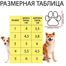 Ботинки высокие с чулком, набор 4 шт, размер 3 (подошва 4,8 х 4,2 см), коричневые - Simaland фото 15