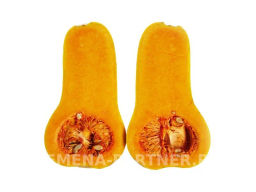 Тыква Страдивари - Партнер фото 4