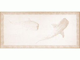 6с102.511ж2 Море. Кит. (лён3) Полотенце махровое 67х150см