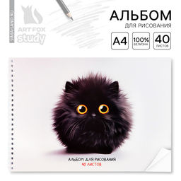 Альбом для рисования 40 листов на пружине А4 «Черный пушистик»