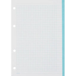 Сменный блок для тетрадей на кольцах, BeSmart А5 120л клетка Цветной N001d
