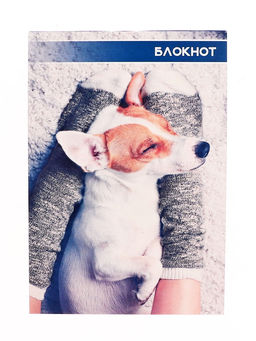 Цена за 20 шт. Блокнот А6, 40 листов в клетку на скрепке Котята и щенята, обложка мелованный картон, МИКС - Calligrata фото 4