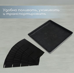 Набор для рассады: пластиковая вставки на 16 ячеек, по 130 мл, пластиковый чёрный поддон, 26.5×26.5×3 см