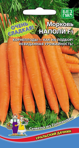 Морковь НАПОЛИ F1 Очень сладкая! Корнеплоды как на подбор! Невиданная урожайность!