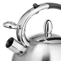 Чайник LARA (матовый) 3,1л, индукционное дно 0.5мм, хромированная оцинкованная ручка (LR00-10)  фото 4