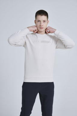 Свитшот с флисом Светло-серый