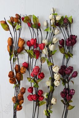 Веточки 5 шт. Сухоцвет бутон (SF-1119) в ассортименте