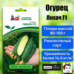Огурец партенокарпический Лихач - Партнер фото 2