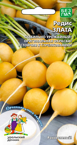 Редис ЗЛАТА  Стабильная урожайность! Оригинальная окраска! Устойчив к стрелкованию!