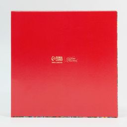 Цена за 5 шт. Коробка под 16 конфет с ячейками Яркий новый год 17,7 х 17,7 х 3,8 см - Дарите счастье фото 6