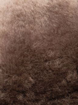 полусапоги
								BELWEST  фото 6