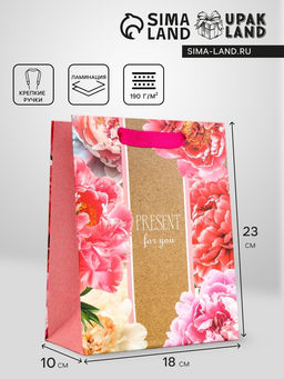 Цена за 2 шт. Пакет подарочный вертикальный PRESENT for you, 18?23?10 см
