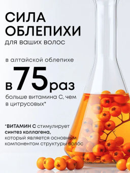 "NS" OBLEPIKHA ШампуньЗАПАСКА Глубокое Очищ.и Уход д/норм.жирных волос 500мл