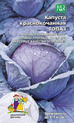 Капуста краснокочанная ТОПАЗ Высокоурожайный сорт! Кочаны плотные, до 2,5 кг! Вкусовые качества отличные!